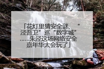 花灯里猜安全谜、“泾吾卫”巡“数字城”……朱泾这场网络安全嘉年华太会玩了