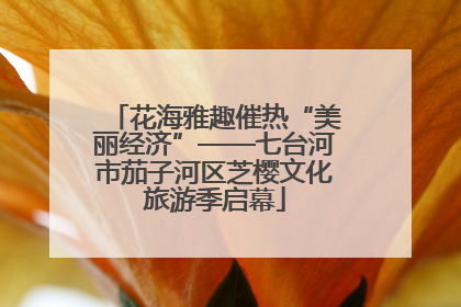 花海雅趣催热“美丽经济”——七台河市茄子河区芝樱文化旅游季启幕