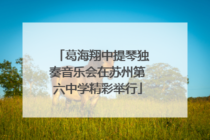 葛海翔中提琴独奏音乐会在苏州第六中学精彩举行