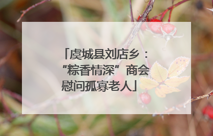 虞城县刘店乡：“粽香情深”商会慰问孤寡老人