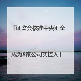 证监会核准中央汇金成为8家公司实控人
