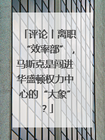 评论丨离职“效率部”，马斯克是闯进华盛顿权力中心的“大象”？