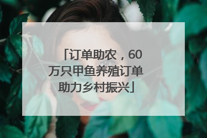 订单助农，60万只甲鱼养殖订单助力乡村振兴