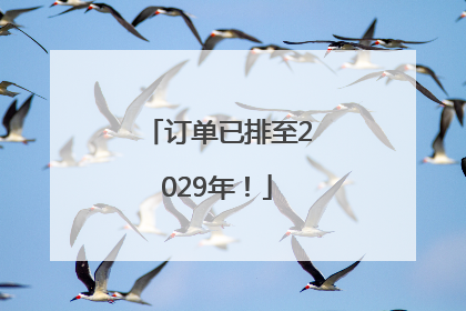 订单已排至2029年！