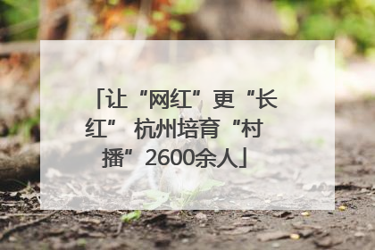 让“网红”更“长红” 杭州培育“村播”2600余人