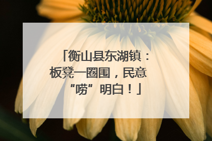 衡山县东湖镇：板凳一圈围，民意“唠”明白！