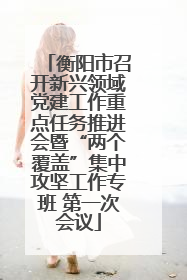 衡阳市召开新兴领域党建工作重点任务推进会暨“两个覆盖”集中攻坚工作专班 第一次会议