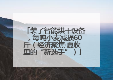 装了智能烘干设备，每吨小麦减损60斤（经济聚焦·夏收里的“新选手”）