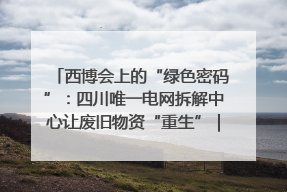 西博会上的“绿色密码”：四川唯一电网拆解中心让废旧物资“重生”｜西博寻“新”记