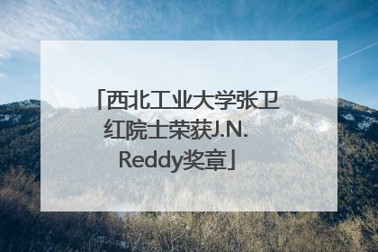 西北工业大学张卫红院士荣获J.N.Reddy奖章