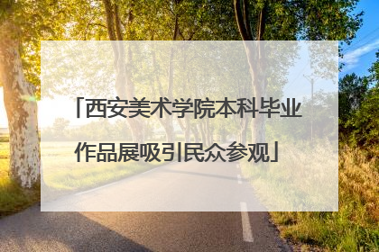 西安美术学院本科毕业作品展吸引民众参观