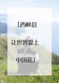 西峡县 让世界爱上中国菇