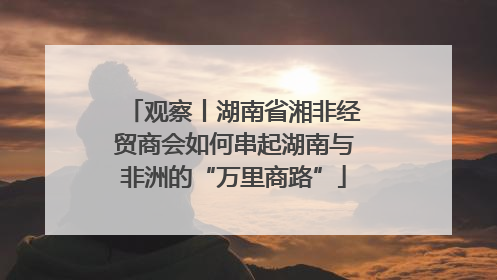 观察丨湖南省湘非经贸商会如何串起湖南与非洲的“万里商路”