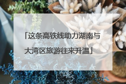 这条高铁线助力湖南与大湾区旅游往来升温