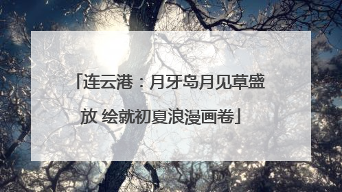 连云港：月牙岛月见草盛放 绘就初夏浪漫画卷