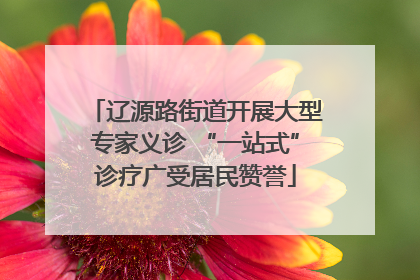辽源路街道开展大型专家义诊 “一站式”诊疗广受居民赞誉