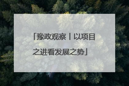 豫政观察丨以项目之进看发展之势