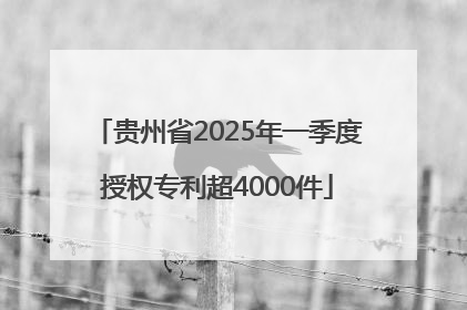 贵州省2025年一季度授权专利超4000件