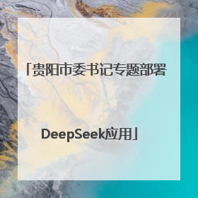 贵阳市委书记专题部署DeepSeek应用