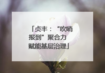 贞丰：“吹哨报到”聚合力 赋能基层治理