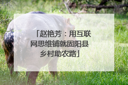 赵艳芳：用互联网思维铺就固阳县乡村助农路