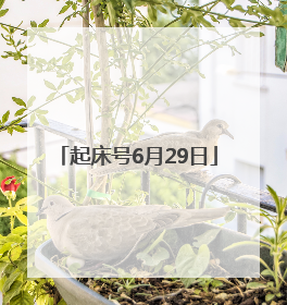 起床号6月29日