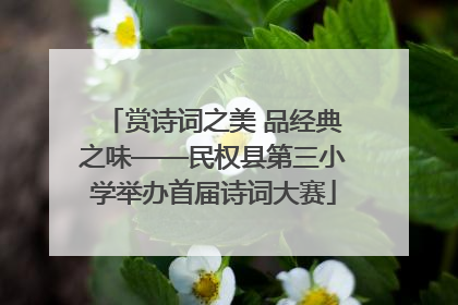 赏诗词之美 品经典之味——民权县第三小学举办首届诗词大赛