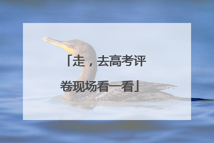 走，去高考评卷现场看一看