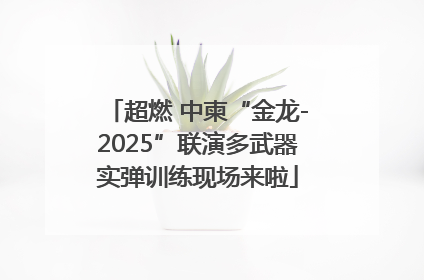 超燃 中柬“金龙-2025”联演多武器实弹训练现场来啦