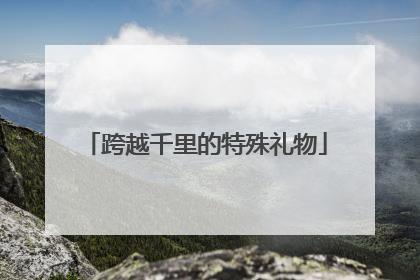 跨越千里的特殊礼物