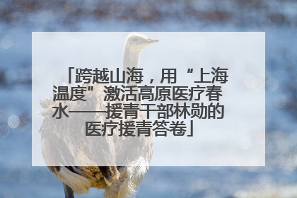 跨越山海，用“上海温度”激活高原医疗春水——援青干部林勋的医疗援青答卷