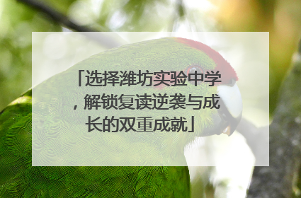 选择潍坊实验中学，解锁复读逆袭与成长的双重成就