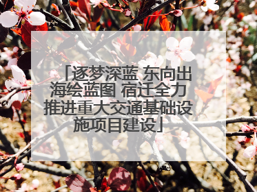 逐梦深蓝 东向出海绘蓝图 宿迁全力推进重大交通基础设施项目建设