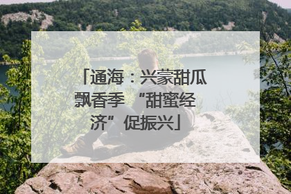 通海：兴蒙甜瓜飘香季 “甜蜜经济”促振兴