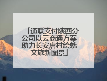 通联支付陕西分公司以云商通方案助力长安唐村绘就文旅新图景