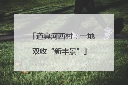 道真河西村：一地双收“新丰景”