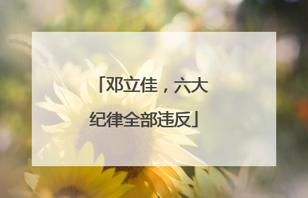 邓立佳，六大纪律全部违反
