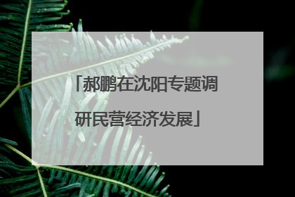 郝鹏在沈阳专题调研民营经济发展