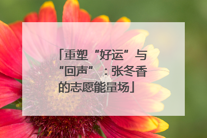 重塑“好运”与“回声”：张冬香的志愿能量场