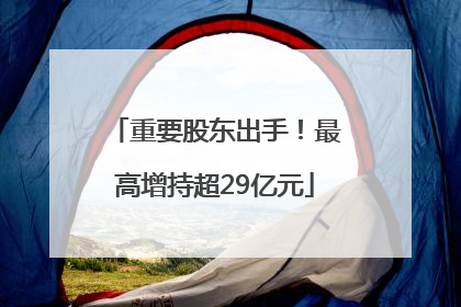 重要股东出手！最高增持超29亿元