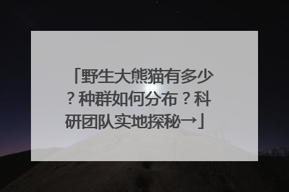 野生大熊猫有多少？种群如何分布？科研团队实地探秘→