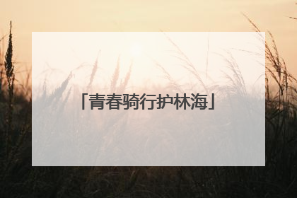 青春骑行护林海