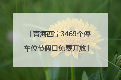 青海西宁3469个停车位节假日免费开放