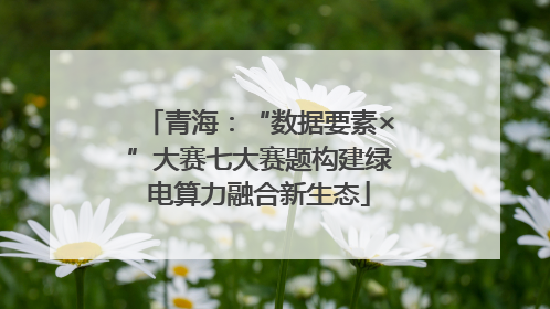 青海：“数据要素×”大赛七大赛题构建绿电算力融合新生态