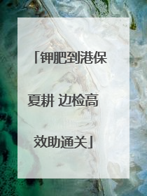 钾肥到港保夏耕 边检高效助通关