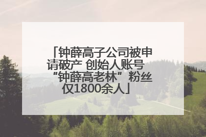 钟薛高子公司被申请破产 创始人账号“钟薛高老林”粉丝仅1800余人