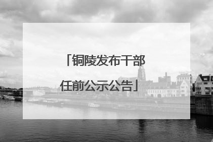 铜陵发布干部任前公示公告