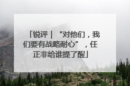 锐评｜“对他们，我们要有战略耐心”，任正非给谁提了醒
