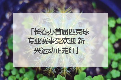 长春办首届匹克球专业赛事受欢迎 新兴运动正走红