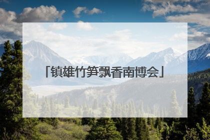 镇雄竹笋飘香南博会